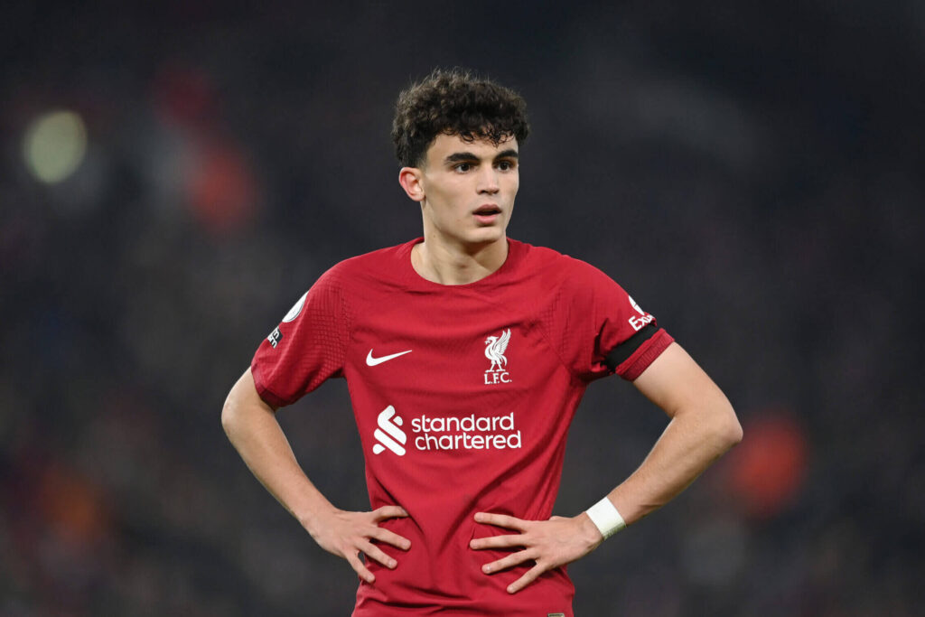 Ništa od ljubavi između Bajčetića i Srbije?